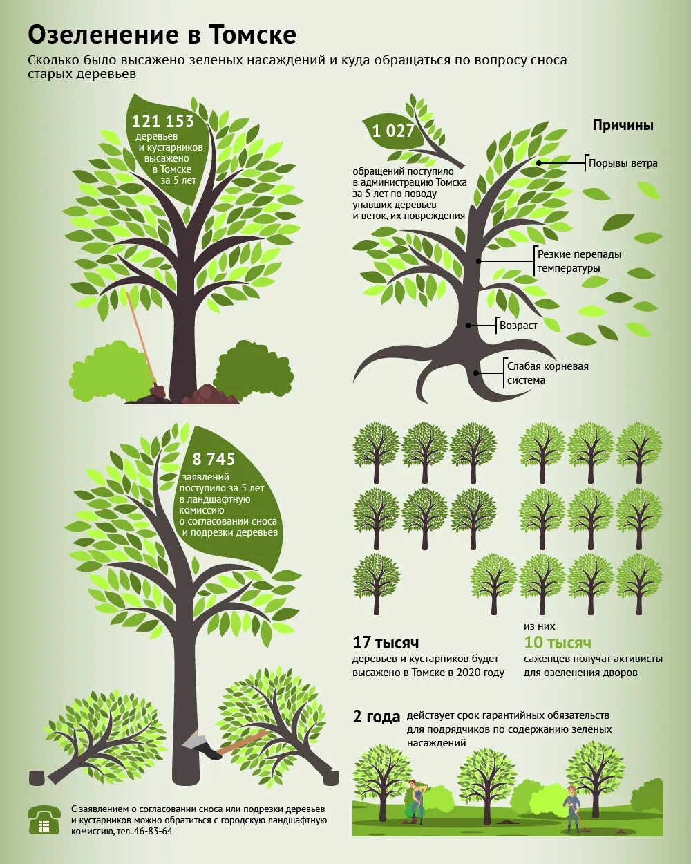Когда можно открывать деревья. Дерево инфографика. Сохранение зеленых насаждений. Инфографика дерево сажать. Таблица зеленых насаждений.