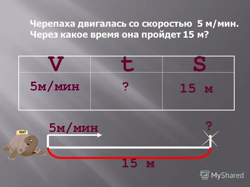 Черепаха двигалась со средней скоростью. Черепаха двигается со скоростью 5. Черепаха двигается со скоростью 5. Скорость черепахи м/мин. Черепаха двигалась со скоростью 5 м мин.