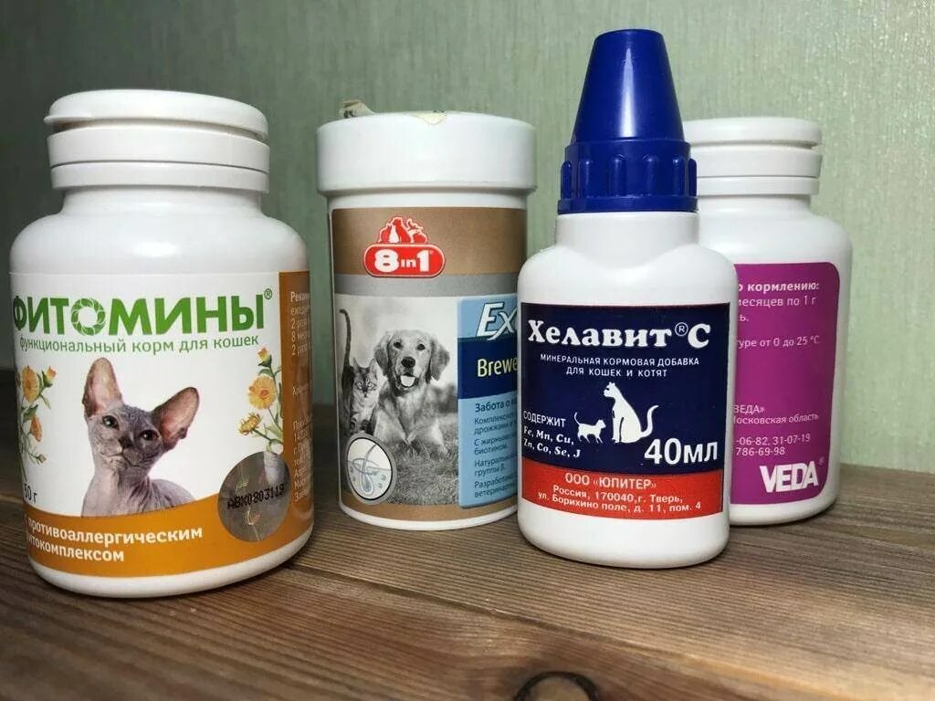 Витамин в 1 для кошек. Витамины для кошек. витамины для кошек от выпадения шерсти. витамины для собак. витамины для кошек и собак для шерсти.