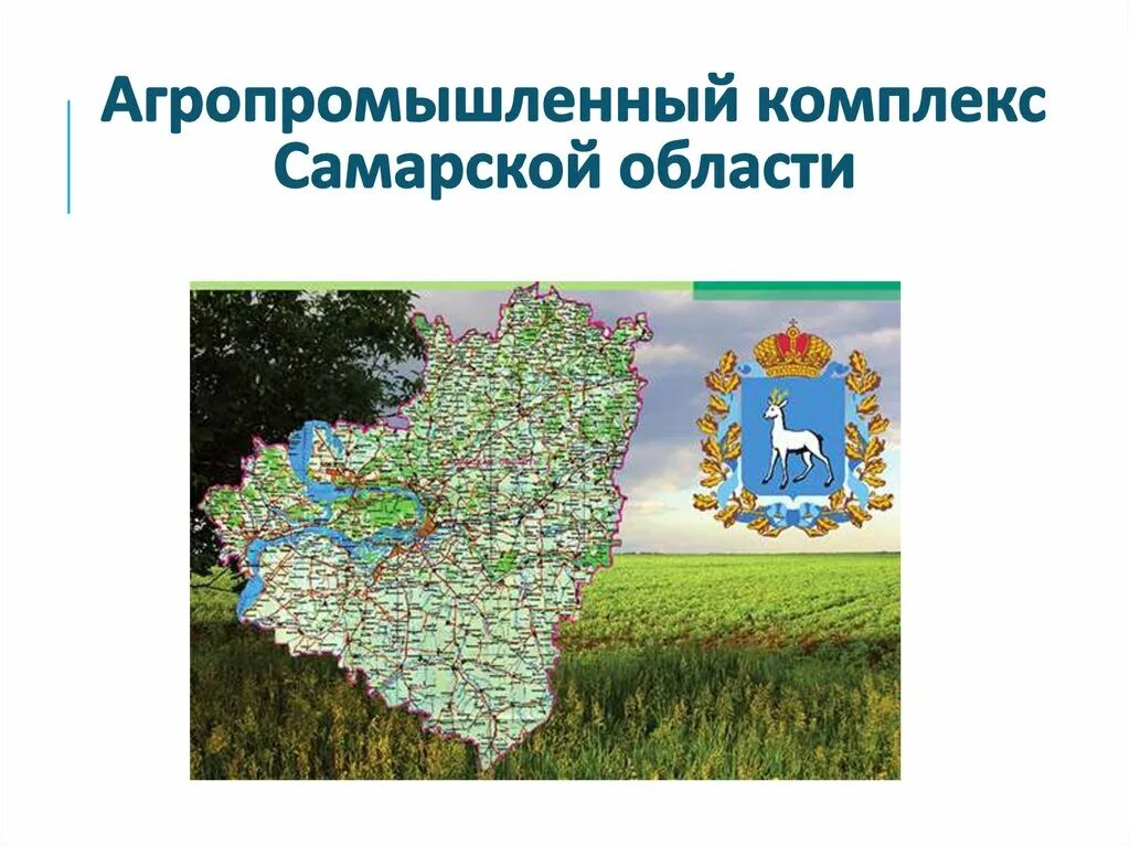 Агропромышленный комплекс Самарской области. АПК Самарской области доклад. Карта Самарской области. Экономическая карта Самарской области. Достижения самарской области