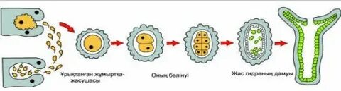 Джим Керри секс