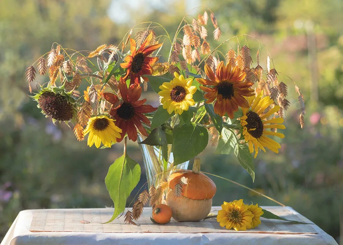 Тыква и подсолнухи. Натюрморт с тыквой. Натюрморт с подсолнухами. Тыква с подсолнухами иллюстрация. Натюрморт тыква и подсолнухи.