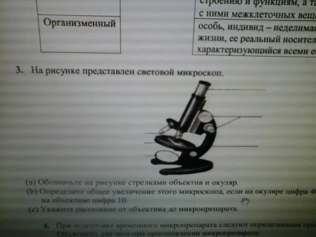 Сор по естествознанию 5 класс 3 четверть. Сор по естествознанию 5 класс. Сор по естествознанию 5 класс 2 четверть с ответами. Соч по естествознанию 5 класс 2 четверть. Соч естествознание 4 класс 3 четверть