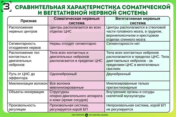 Функции отделов вегетативной нервной системы таблица. Характеристика соматической и вегетативной нервной системы. Отличия соматической и вегетативной нервной системы таблица. Сравнение соматической и вегетативной нервной системы.