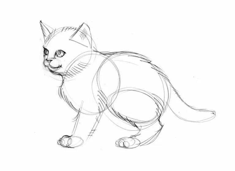 Срисовка котиков для начинающего. Срисовка котиков для начинающего. Котик рисунок карандашом для срисовки легкие. Рисунки лёгкие для начинающих. Срисовать картинки.