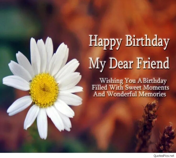 Happy birthday my dear friend. Happy birthday friend wishes. Happy birthday wishes to friend. Wishes to happy birthday. Happy birthday friend wishes.