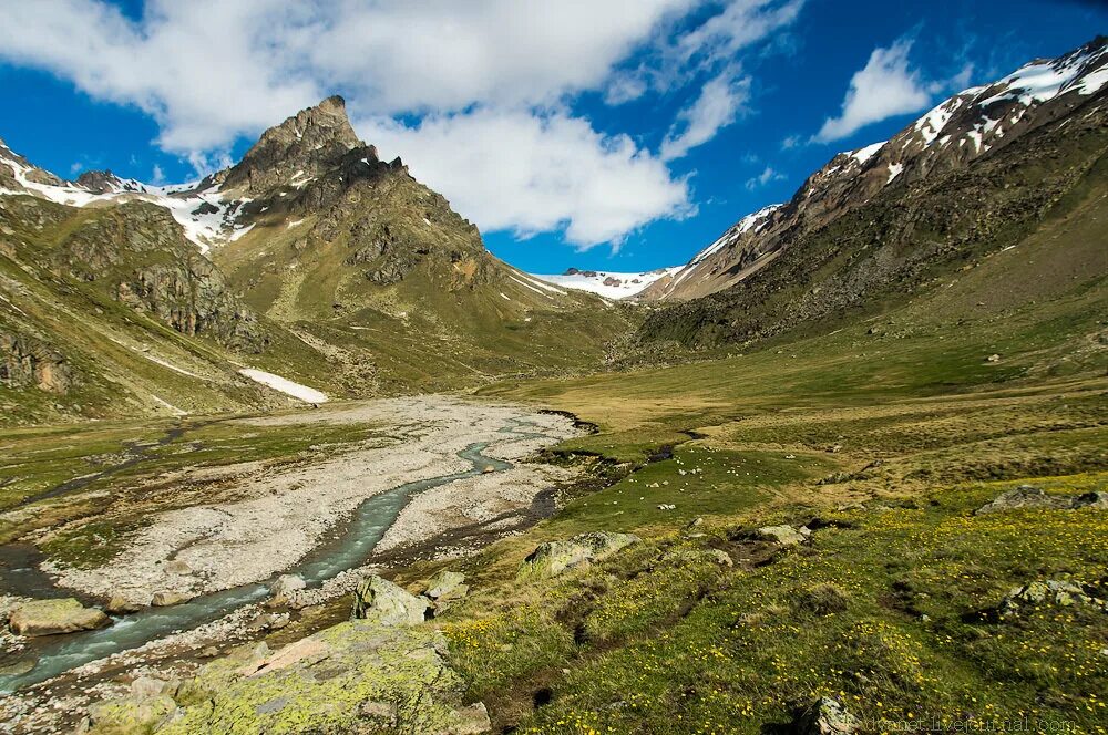 текстура дивана. обивка 7 букв. кожаная обивка. каретная стяжка 3d max. логотип перетяжка мягкой мебели.