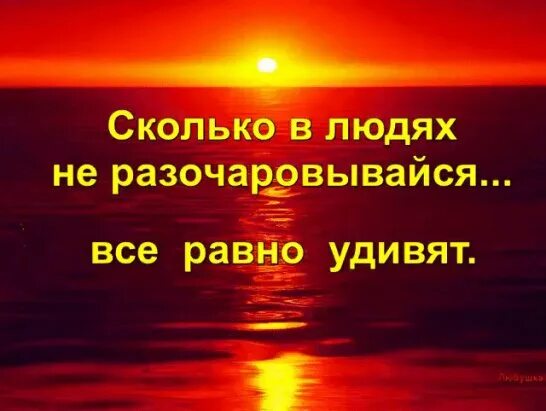 Разочарование сколько. Сколько в людях не разочаровывайся все равно удивят. Коротко обо всём разочарована но не удивлена. Не разочаровывайся в людях. Разочарована но не удивлена.