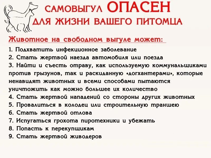 Самовыгул. Самовыгул опасен для животных. Отпуская животное на самовыгул. Не отпускайте на самовыгул.