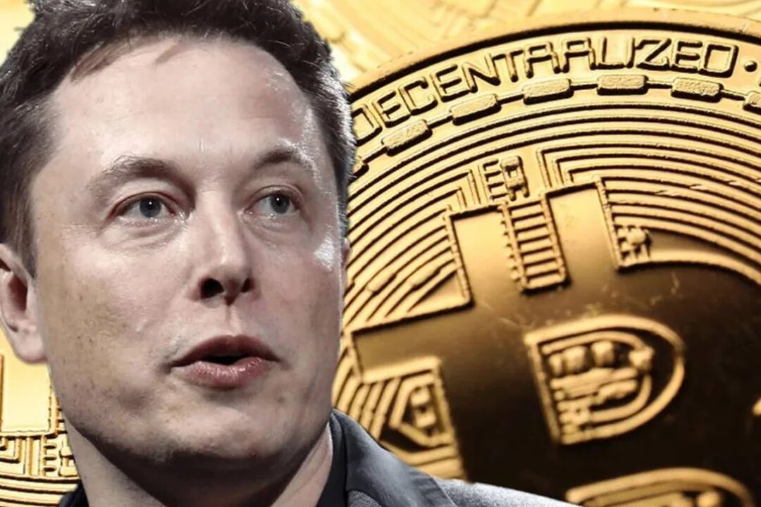 илон маск биткоин. элон маск рождение. Elon musk bitcoin. илон маск btc. Elon musk.
