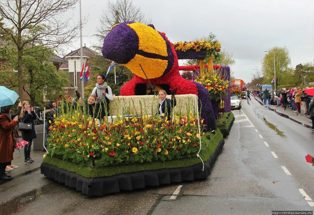 Фестиваль цветов скульптуры. Екатеринбург парад цветов. Парад цветов bloemencorso bollenstreek. Парад цветов в детском саду. Поделка парад цветов.