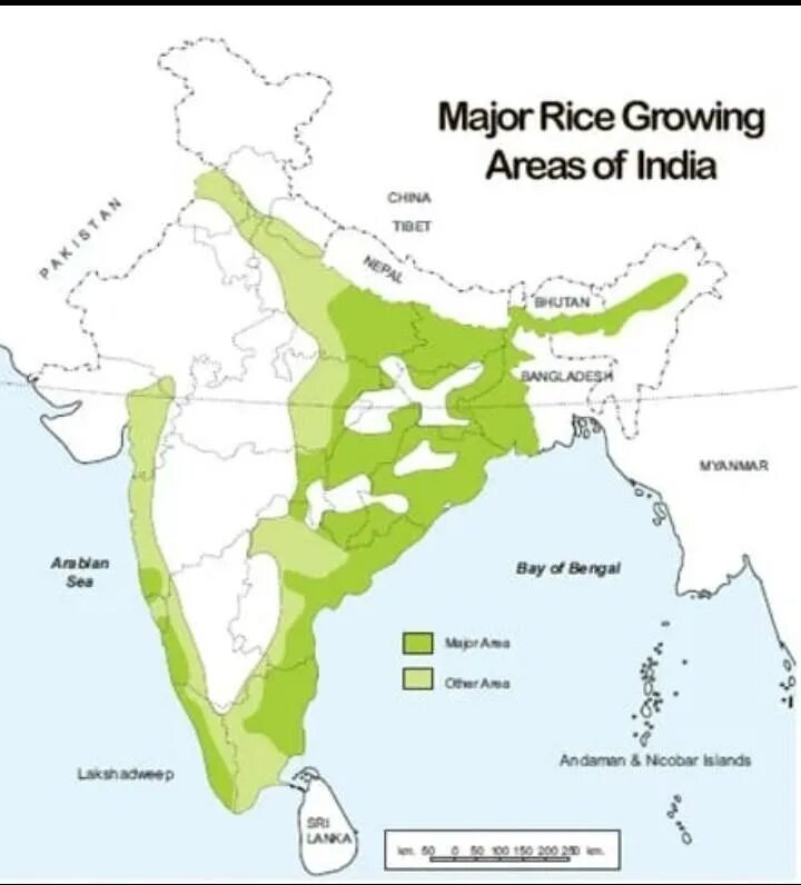 Major areas. Crop area Map. Major Mining States of India. They grow Rice in India. Growing Crops in Peru Map.