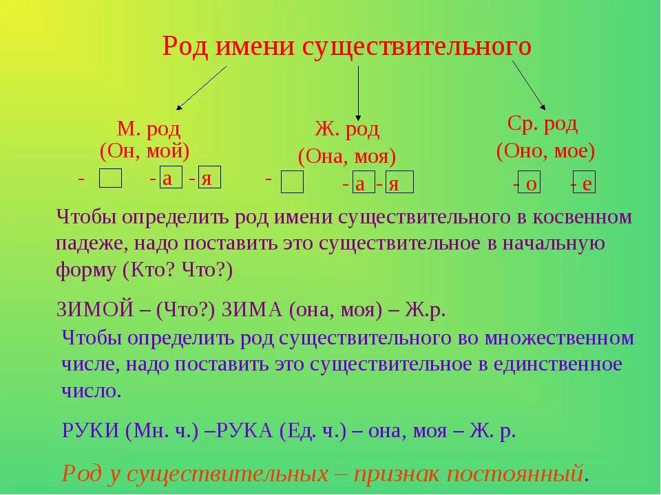 Слово зеленый это имя существительное. Как определить род имен существительных. Как определить род у существительных. Правила определения рода существительных в русском. Как определить существительное.