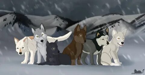Волк 7 12