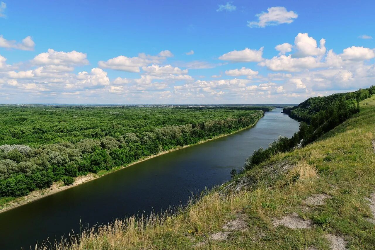 Дон картинка. Река Дон Воронеж. Природа Воронежской области река Дон. Река Дон Нововоронеж. Река Дон в Павловске Воронежской области.