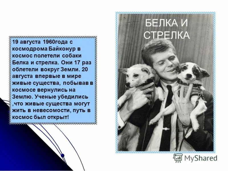 19 августа 1960. Байконур белка и стрелка. Белка и стрелка 17 раз облетели землю.