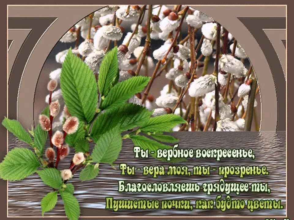 Поздравление с 5 апреля. Вербное воскресенье поздравления. С Вербным воскресеньем открытки. Вербное воскресенье картинки. Поздравительные открытки с Вербным воскресеньем.