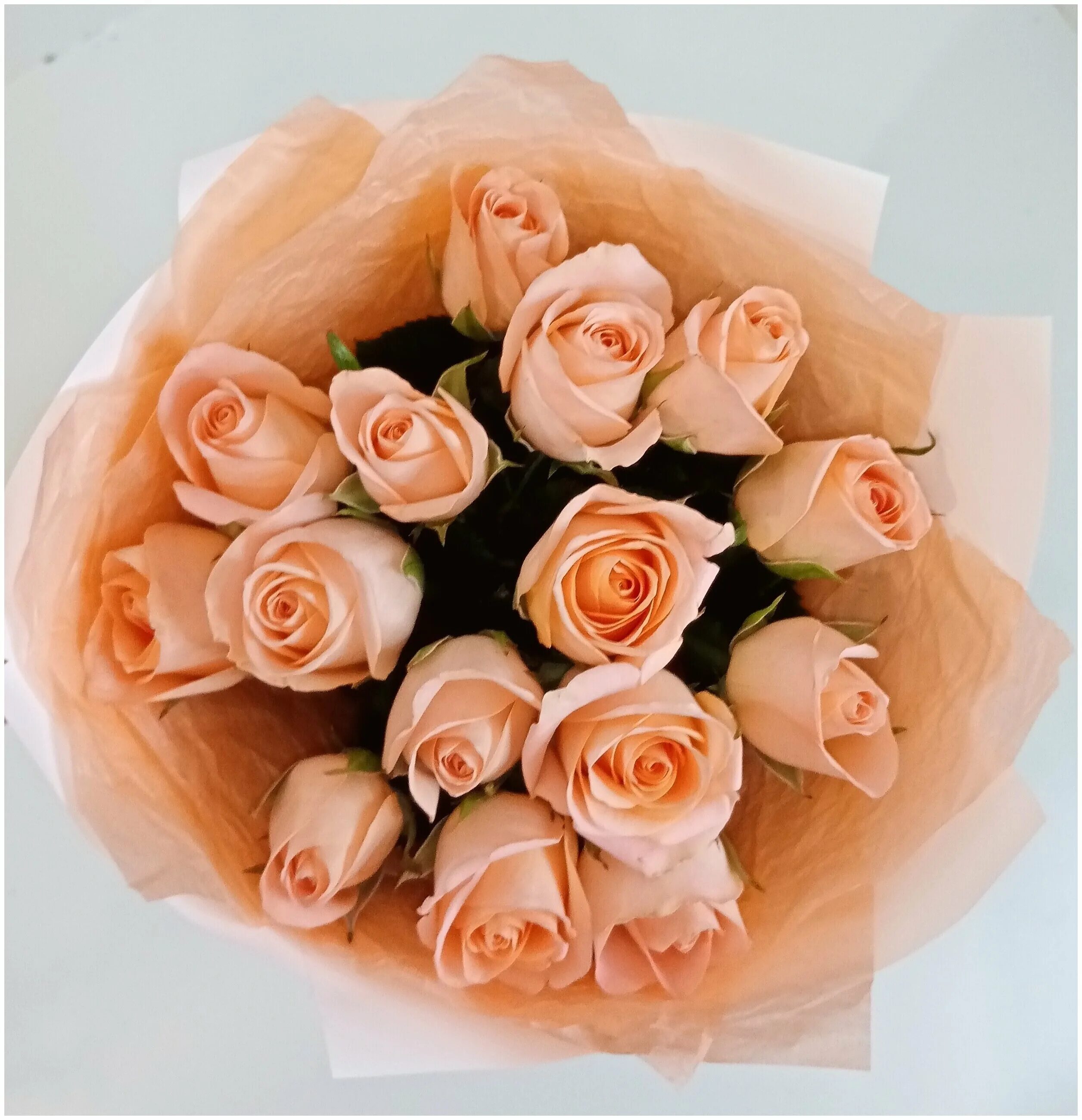 букет 15 персиковых роз. красивые букеты персиковых роз. роза персик стерлитамак. роза кения кремовая. красивые персиковые розы.