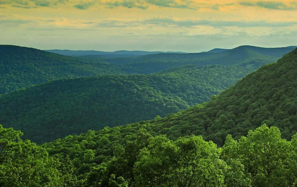 Аппалачи - стоковые фотографии и другие картинки Brasstown Bald - Brasstown Bald