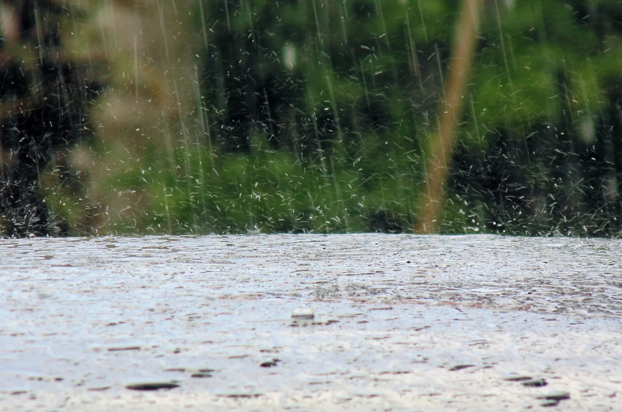 Raining rivers. Ливень на озере. Ливневые дожди. Сильный дождь. Дождь на реке.