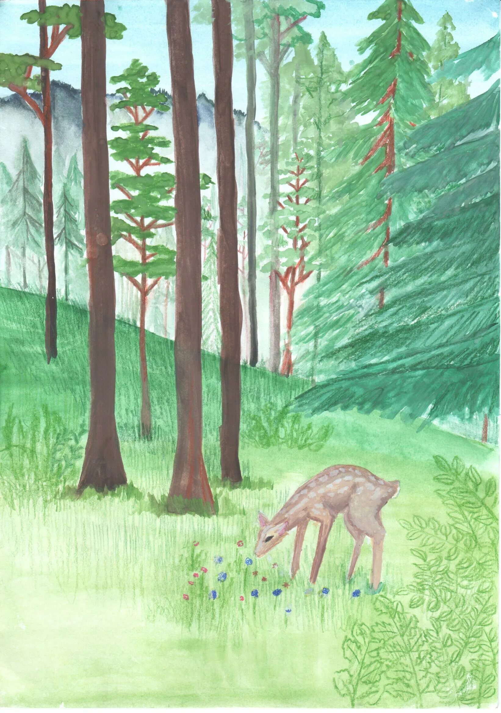 Лес рисунок. Красота леса рисунок. Рисунок леса для детей. Рисунок на тему лес.