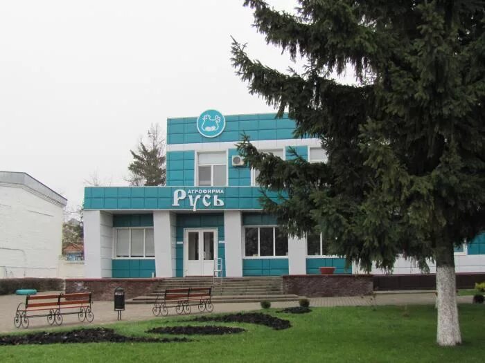 Русь короча. Русь короча. Агрофирма русь бехтеевка. Русь короча. Агрофирма русь белгородская область.