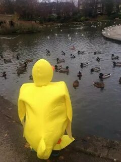Утка прикол