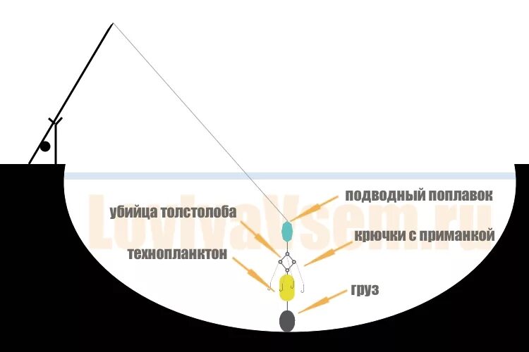 Монтаж донной снасти на толстолоба. Донная снасть для ловли толстолоба. Схема монтажа снасти на толстолоба. Ловля толстолобика на донную снасть. Ловля на технопланктон