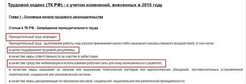 Законопроекты летом 2024 принудительные работы тунеядство
