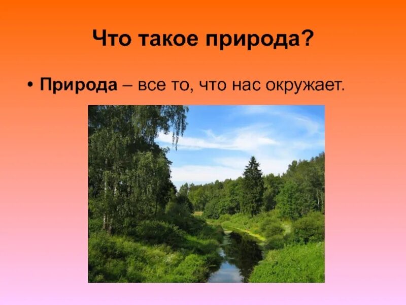 Понятие слова природа. Природа это определение. Что такое природа кратко. Природа это определение кратко. Природа это определение окружающий мир.