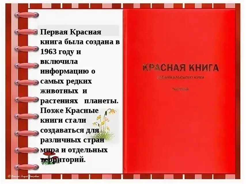 Книга о россии 4 класс. Красная книга. Красная книга нашего края. Красная книга России оформление. Как выглядит красная книга.