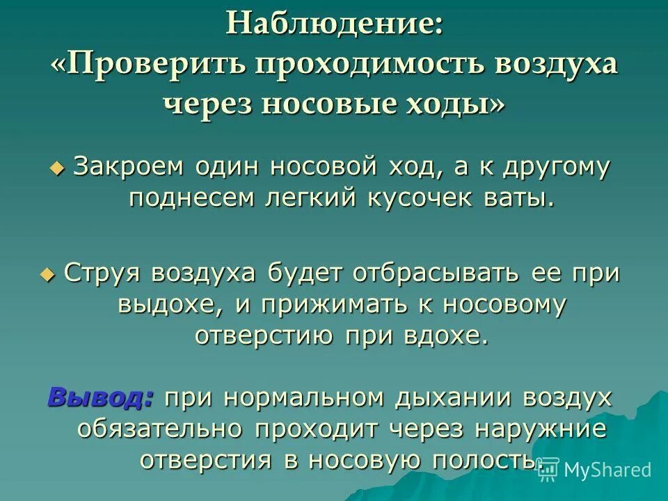 значение дыхания через нос