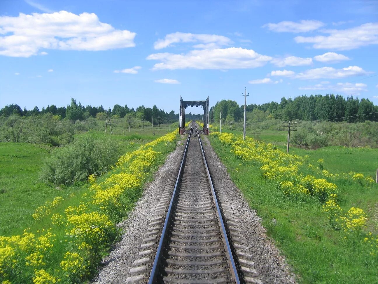 Локня. Локня Псковская область. Поселок Локня Псковская область. Станция Локня.