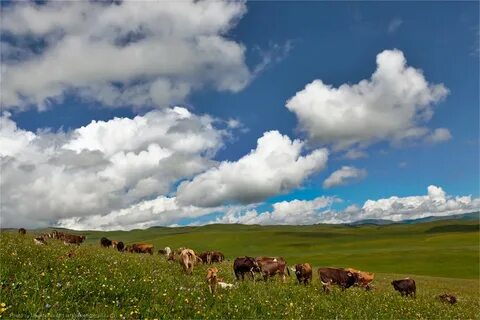 Картинка природа казахстана