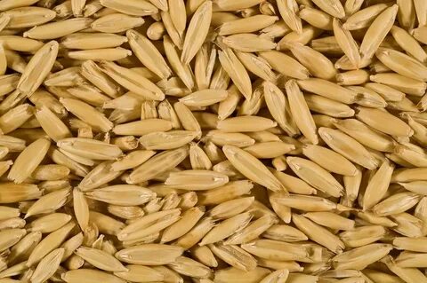 High grain