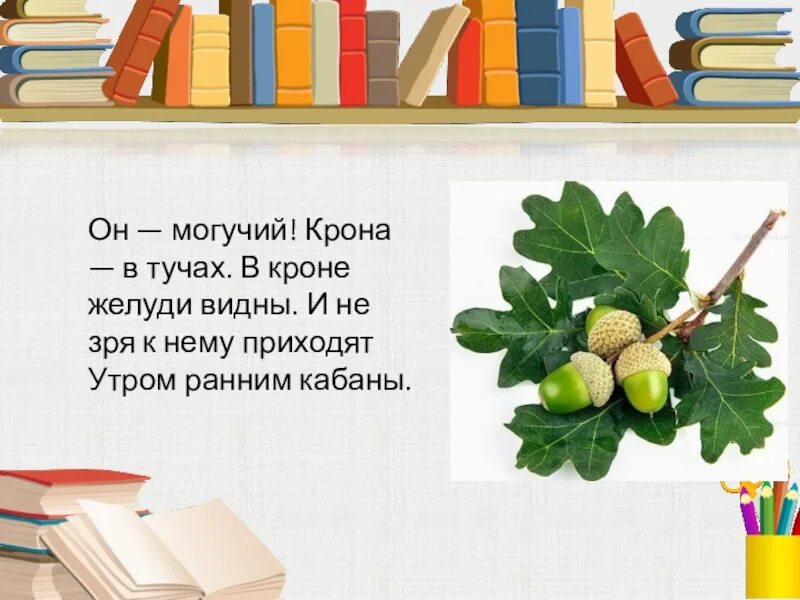 Могучий ушел. Он могучий крона в тучах в Кроне желуди и не зря к нему. Он такой могучий. Загадка Ой могучий .крона в тучах.в Кроне желуди видны. Могучая крона.