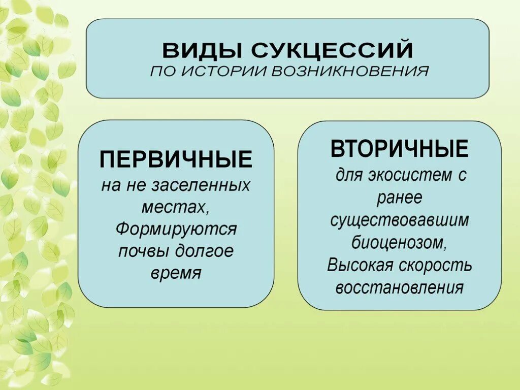 Экосистемы 11 класс биология конспект. Экологическая сукцессия первичная и вторичная. Что такое сукцессия первичная и вторичная в биологии 9 класс. Причины вторичной сукцессии. Типы сукцессий.