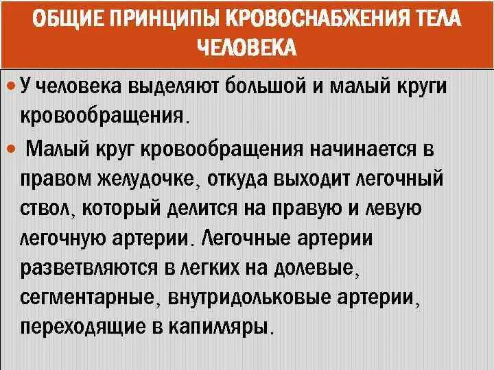 Основные принципы кровообращения. Основные принципы кро. Основные принципы кровоснабжения органов. Основные принципы кровоснабжения легких. Принципы кровообращения