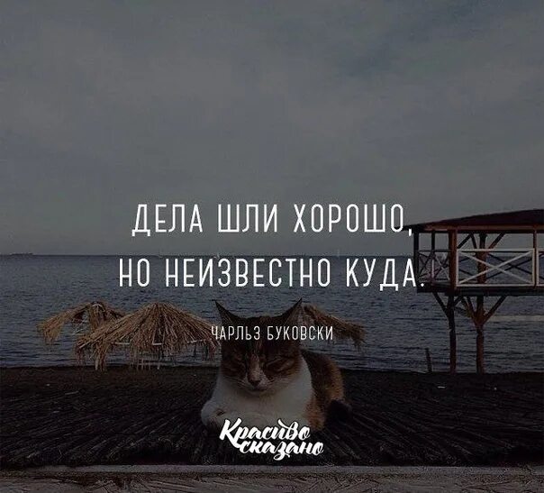 У меня не идут дела. Дела идут хорошо. дела шли хорошо но неизвестно куда. дела идут хорошо но мимо. дела шли хорошо но неизвестно куда картинка.