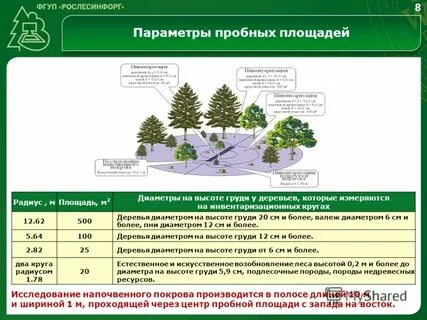 Обследования площадей