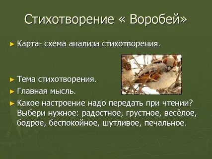 Блок воробей стихотворение