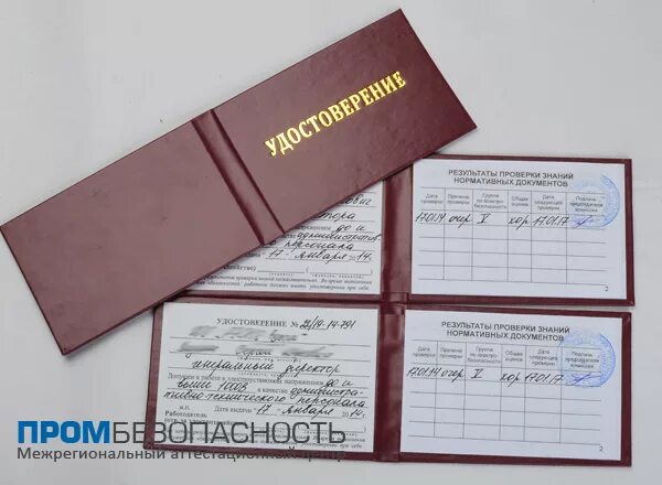 Группа корки. Группа корки. Группа корки. Группа корки. Группа корки.