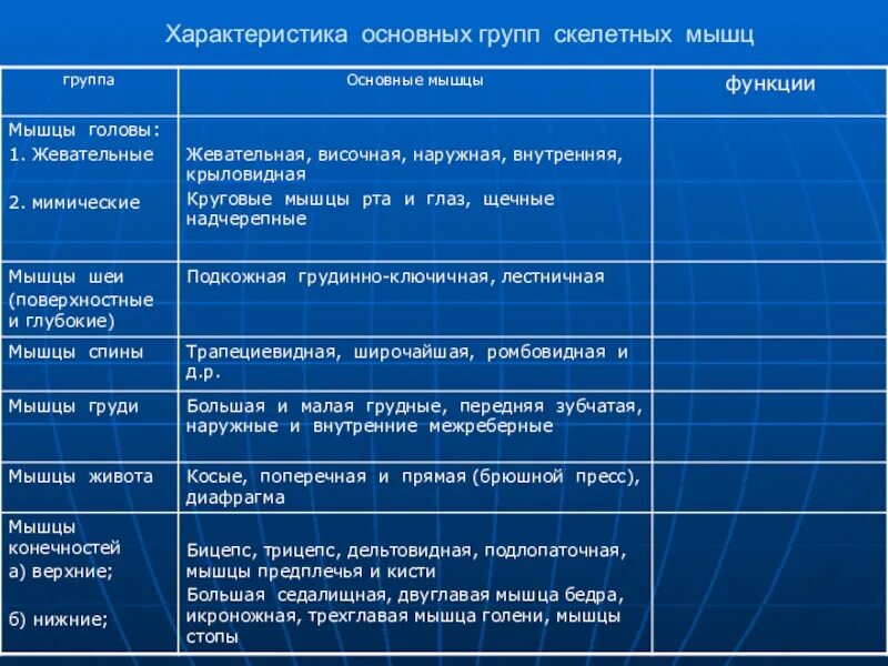 Назовите функции мышц