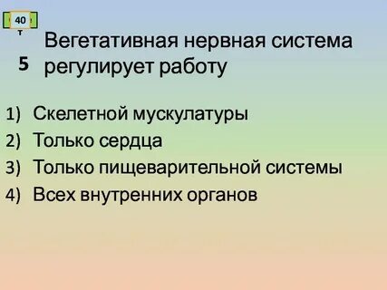Регулирует работу мышц отдел нервной системы