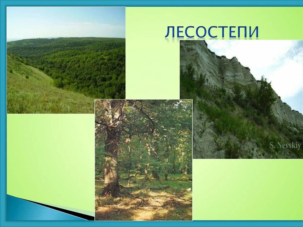 В какой природной зоне находится саратовская. Зоны Саратовской области природные Саратовской. Лесостепная зона Саратовской области. Природные зоны Саратовской области. Лесостепная природная зона.