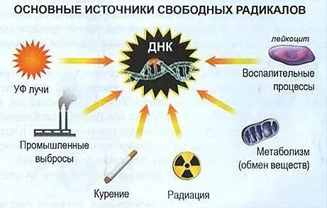 Вредные радикалы