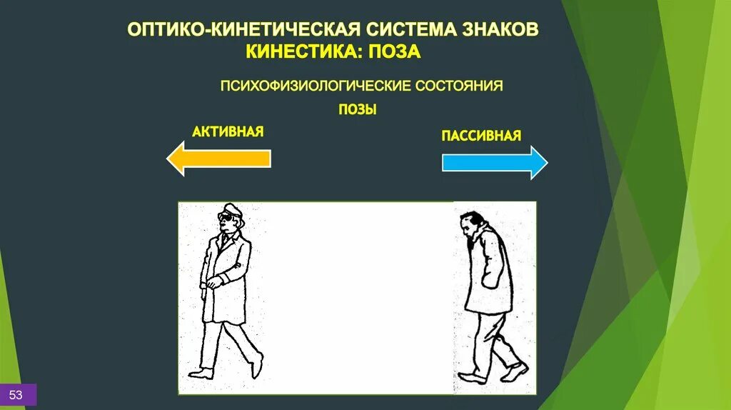 Оптико-кинетическая подсистема. Оптико-кинетическая система знаков. Онтикокинетическпй система знаков. Невербальная коммуникация оптико-кинетическая система знаков. Оптико кинетическая система включает