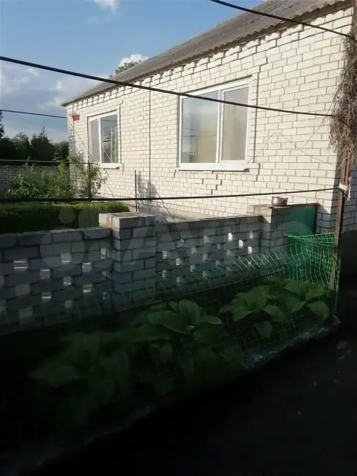 Погода в казьминском на 14. Погода в казьминском на 14. Казьминка горячие источники ставропольского края. Радиолюбители села казьминское ставропольского края. Погода в казьминском на 14.