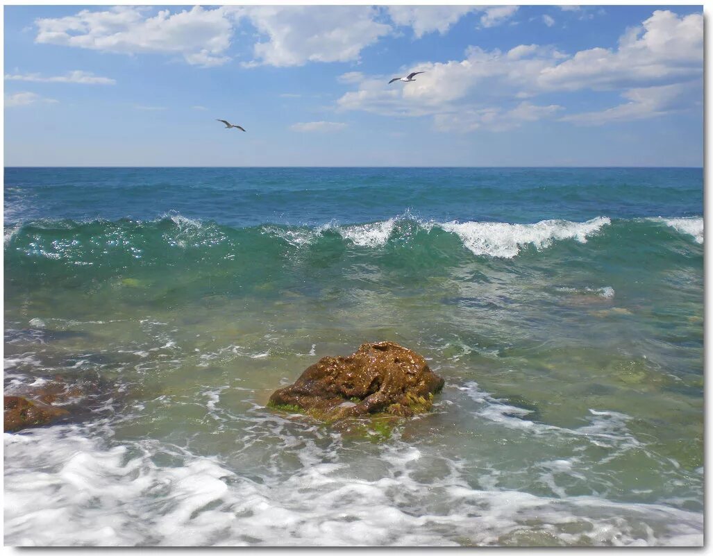 Рулады прибоя. Море Крым Прибой. Черное море Прибой.