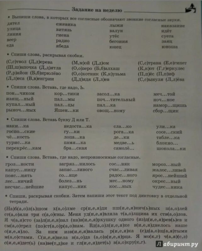 Задание на лето по русскому. Узорова нефёдова -русский язык летние задание на лето 1 класс. Русский язык 3 класс задания. Узорова Нефедова летние задания. Задания по русскому языку 3 класс.